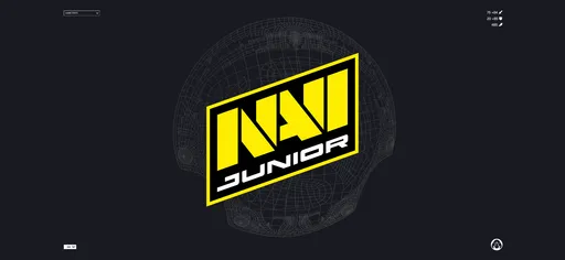 NaVi Junior представила новый состав по Dota 2