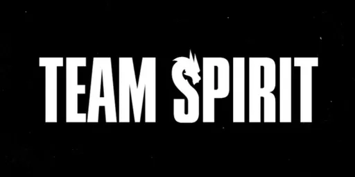 Team Spirit начала поиск врача для повышения поддержки игроков