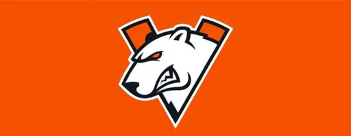 NS раскритиковал новый состав Virtus.pro: шансы на топ-8 минимальны