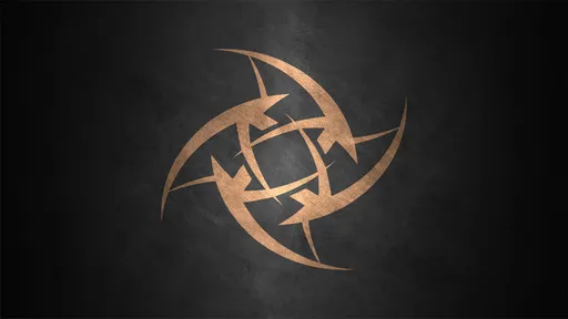 NiP укомплектовала молодёжный состав Young Ninjas по CS:GO