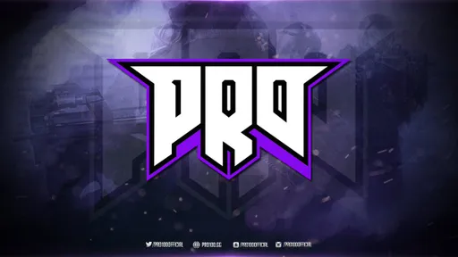 PRO100 (CS:GO)