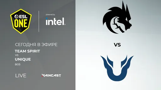 Team Spirit — Team Unique: Драконы едут на второй мейджор