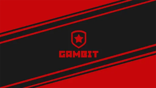F_1N: в Gambit игроки подбирались на определённые роли