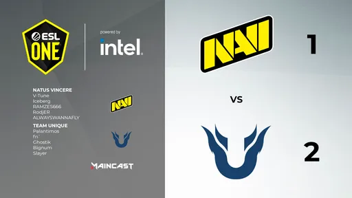Natus Vincere — Team Unique: обзор неожиданного поражения Рождённых побеждать