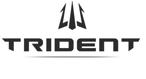 Trident Clan планирует собрать новый состав по Dota 2