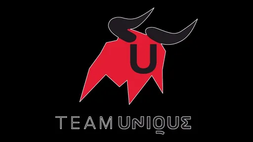 JR и fenvicious могут уйти из Team Unique