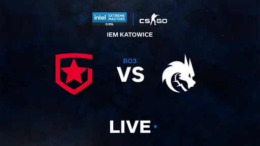 Gambit Esports вышла в финал IEM Katowice 2021