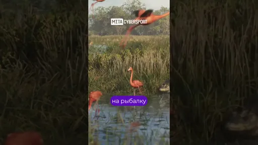 GTA 6: СЛИЛИ новые подробности