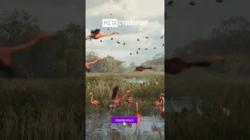 GTA 6 некто рассмотрел все растения и деревья