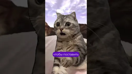 Новая карта в CS2?
