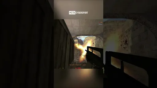 Этот игрок в CS зашёл слишком далеко