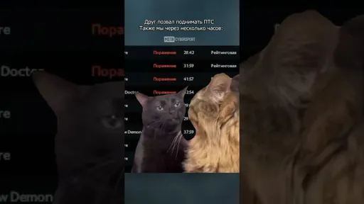 ЛУЗСТРИК с другом
