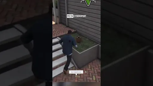 Где в GTA V стать птицей