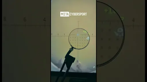 Это вообще законно в Call of Duty