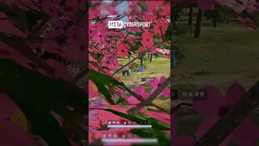 PUBG: самая лучшая стратегия скрытности