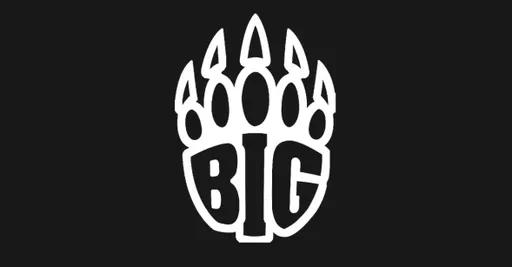 BIG покинула отборочные к PGL Major Copenhagen 2024