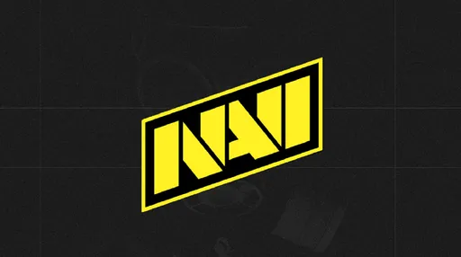 Роскомнадзор заблокировал официальный сайт Natus Vincere