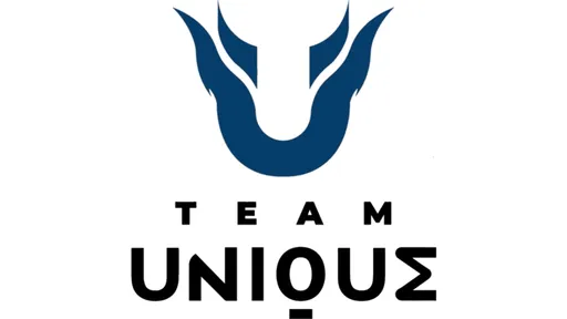 Team Unique подписала состав No Sorry по Dota 2