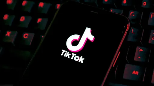 В России предложили заблокировать TikTok* из-за опасных для детей трендов