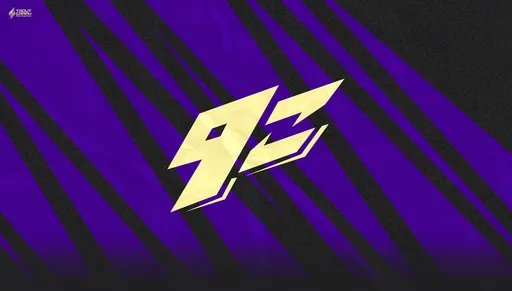 ESIC сняла запрет на участие в турнирах с тренера 9z Team