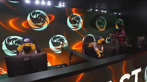 Организаторы TI11 заменили игроков beastcoast на арене на плюшевых собак