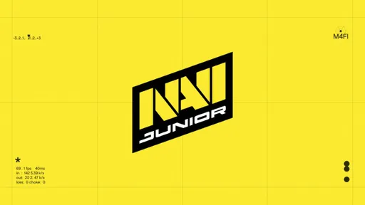 9Pandas, NaVi Junior и Aurora дисквалифицированы с ESL One Raleigh 2025