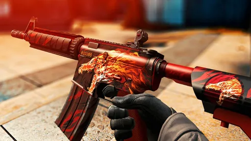 Фанат CS:GO устроил протест против мошеннического сайта на мейджоре – к этому причастна G2
