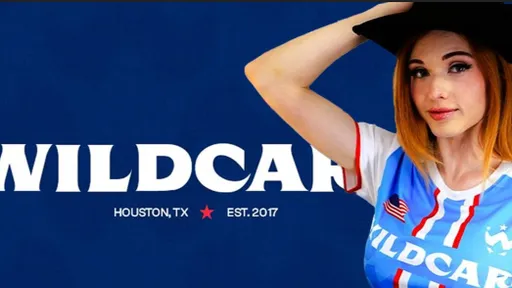 Wildcard Gaming исключила снайпера и капитана перед новым сезоном в CS2