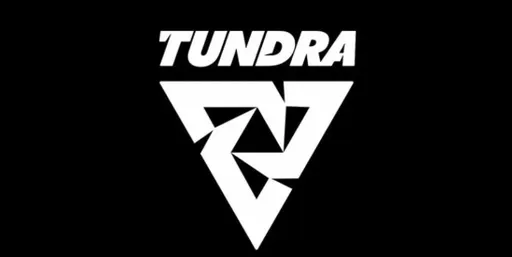 Tundra прошла в плей-офф Esports World Cup 2025