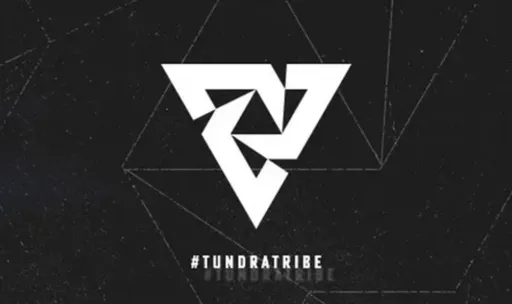Tundra подтвердила исключение MinD_ContRoL из состава по Dota 2