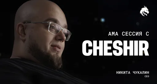 СЕО Team Spirit: призовой фонд TI – это красная тряпка, на которую легко повесить все неудачи сцены [обновлено]