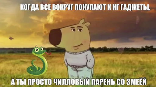 Екатерина Мизулина: чилловый парень стал главным мемом 2024