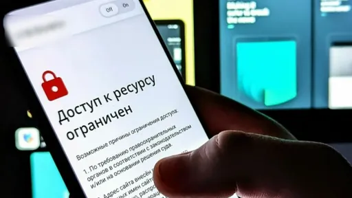 В России не планируют ограничивать средства для обхода блокировок в 2026 году