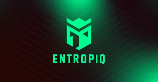 Entropiq не смогла пройти на европейский RMR-турнир