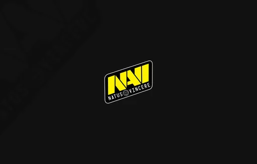 Natus Vincere прекратила вести группу во «ВКонтакте»