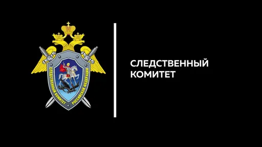Председатель Следственного комитета России предложил наказывать людей, донатящих треш-стримерам
