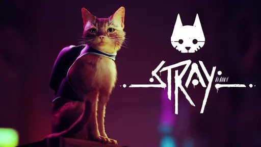В сети появился мод для Stray с видом от первого лица