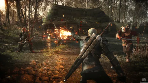 Разработчики The Witcher 3 запретят игрокам пить алкогольные напитки и есть еду под водой