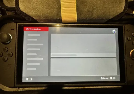 «Серые окна» – eShop не работает на Switch после выхода Hollow Knight: Silksong