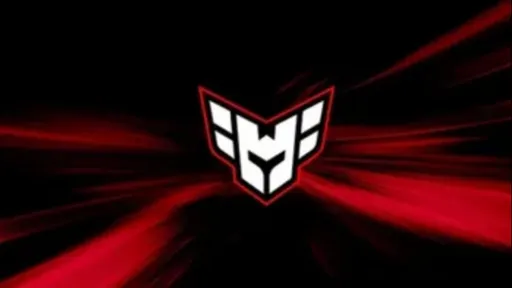 HEROIC продолжит выступать с заменой из-за проблем с визой