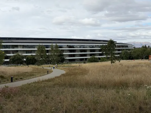 Пример зума на iPhone 17 от пользователя