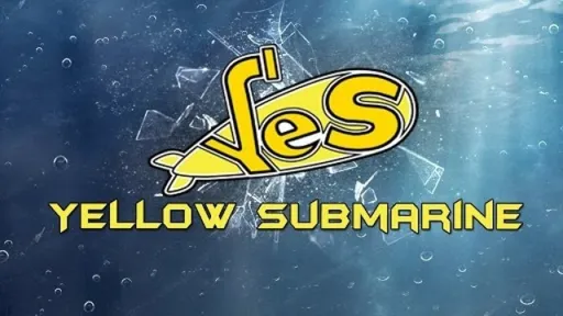 Игрок Yellow Submarine рассказал о дизбанде команды после PGL Wallachia Season 3