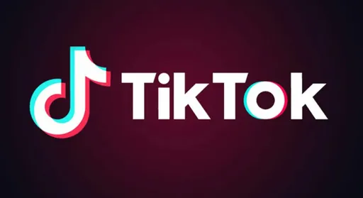 Владимиру Путину задали вопрос про TikTok*