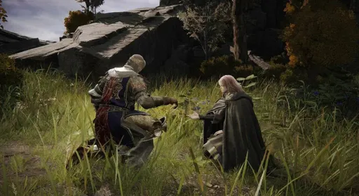 Порт Elden Ring Tarnished Edition не выйдет на Nintendo Switch 2 в 2025 году