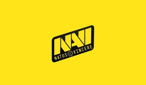 NAVI Junior может участвовать в 322 матчах – OverDrive поделился доказательствами [обновлено]