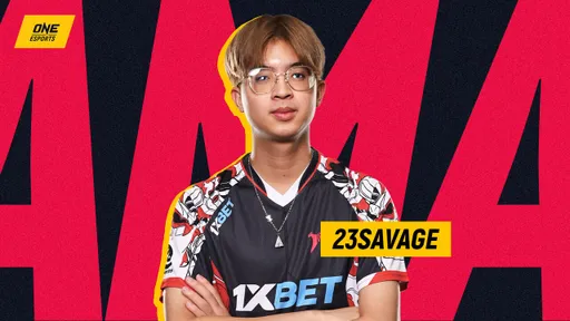 23savage назвал, несколько причин по которым его раздражает Dota 2