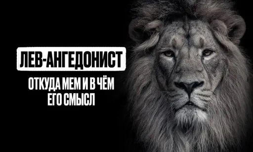 Мем «Лев если и...»: что за лев, и почему он делает всё без удовольствия?