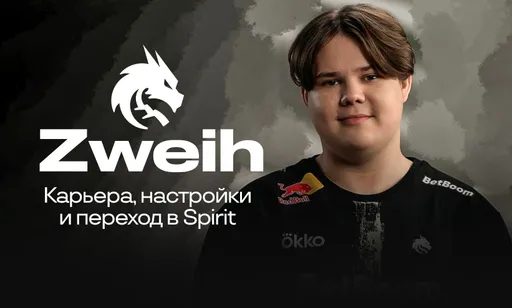Всё о zweih: начал в 15 лет, раскрылся в Nemiga и перешёл в Spirit