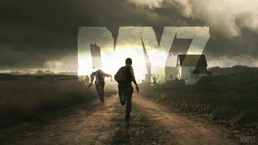 Как играть в DayZ новичку?
