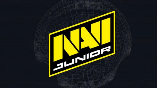 NaVi Junior отказалась играть в отборе на The International 14 для Восточной Европы